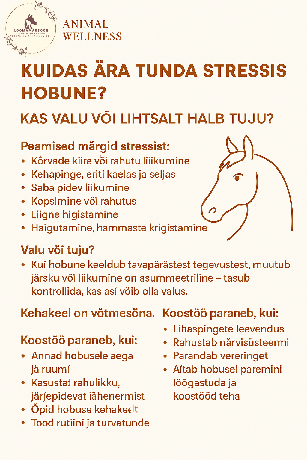 Stressis hobune