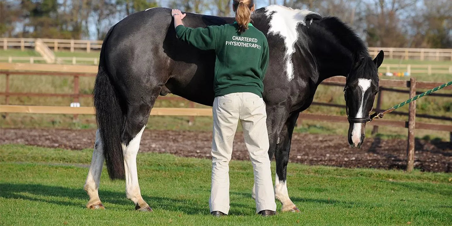 https://www.naylors.com/cdn/shop/articles/NY-blog-thumbnail-equine-sports-massage-therapy-good-bad-horse.webp?v=1749483641&width=1439
